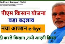 Photo of PM Kisan Samman Nidhi: किसान सम्मान निधि की 10वीं किस्त के लिए जरूरी है e-KYC,
